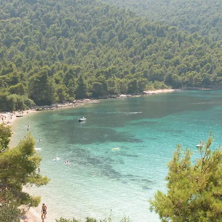 Apartment Ston With Sea View IV Apartment *