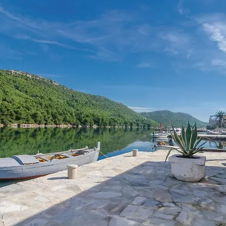 Lejlighed Apartment Ston With Sea View IV Ston