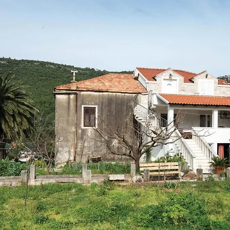 Lejlighed Apartment Ston With Sea View IV